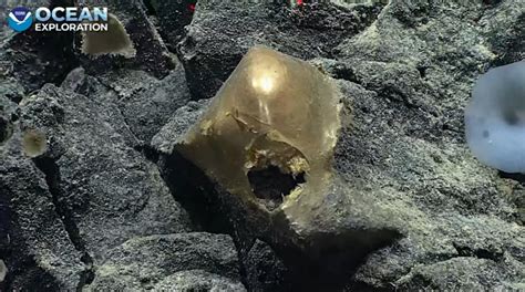 Mysterious golden orb discovered on the ocean floor